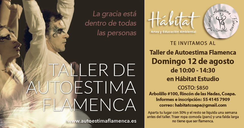 Taller de Autoestima Flamenca en Habitat (México)